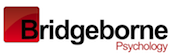 Bridgeborne logo