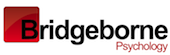 Bridgeborne logo Bridgeborne logo